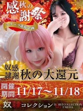 秋のお客様感謝祭